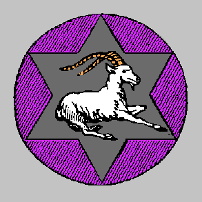 capricornio