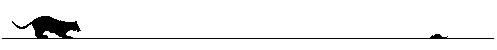gato