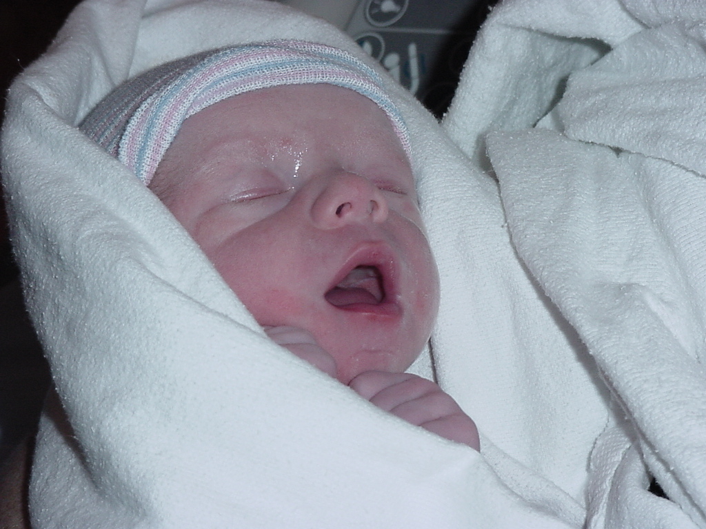 tim2.jpg (321988 bytes)