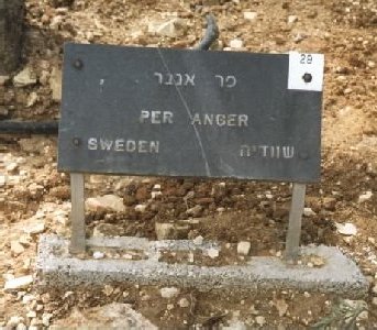 Sign next to the tree