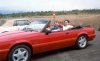 Hitting the Hawiian roads