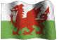 Jump to our Welsh page