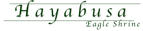 Hayabusa: Eagle Shrine