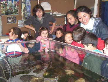 acuario marino Lyce� Charles de Gaulle