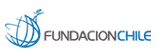 FUNDACION CHILE