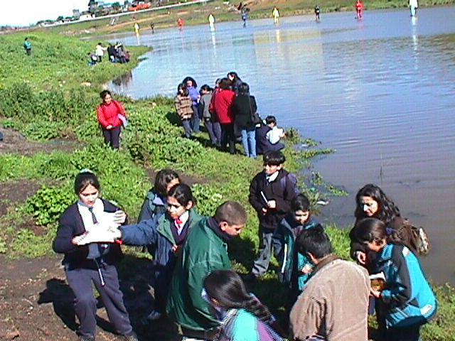 exploradores del agua - 2000