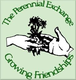 The Perennial Exchange was founded in August of 1995 with the purpose of providing members the opportunity to share and exchange, sell or give away, buy at discount and meet other gardeners.