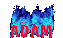 Adam Search Engine!