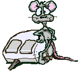 crazy mouse