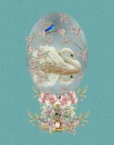 swan