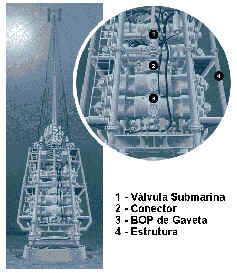 wpe33.jpg (12048 bytes)