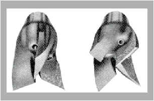 wpe85.jpg (8371 bytes)