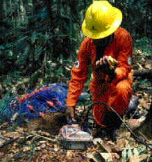 wpe29.jpg (13319 bytes)