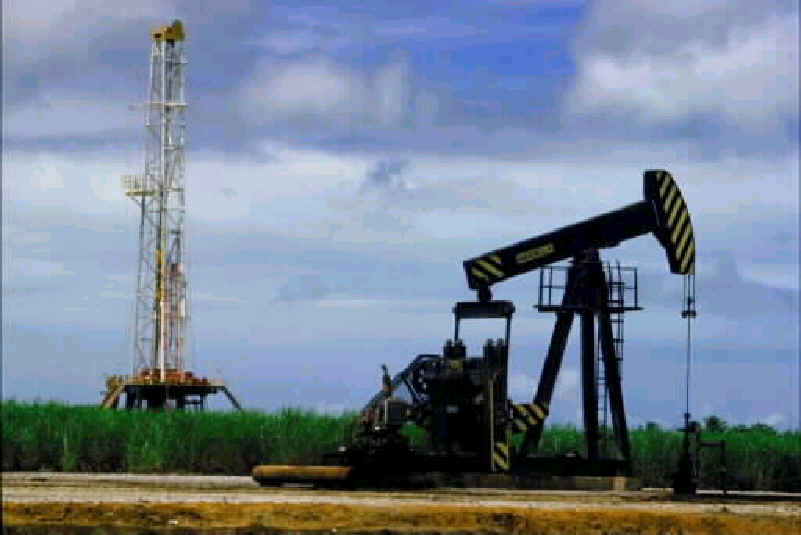 wpe25.jpg (35342 bytes)