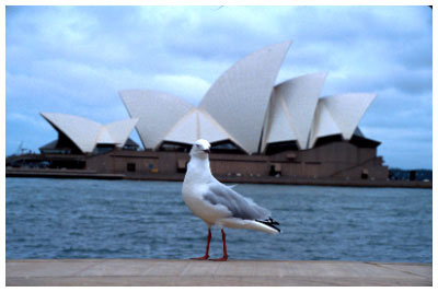 sydney opera house