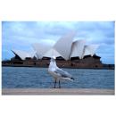 sydney opera house 