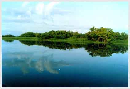 darwin-australia 