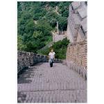  the great wall