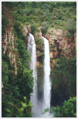 s.africa 