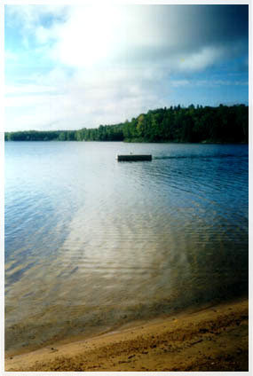 algoquin national park 