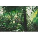 Botanical gardens