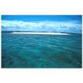 scuba diving in fiji 