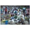 fiji market 