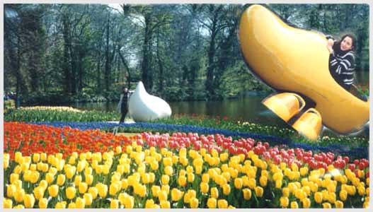 holland 
