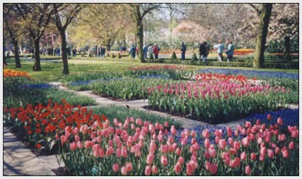 holland
