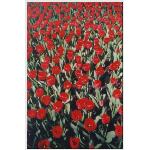 holland 