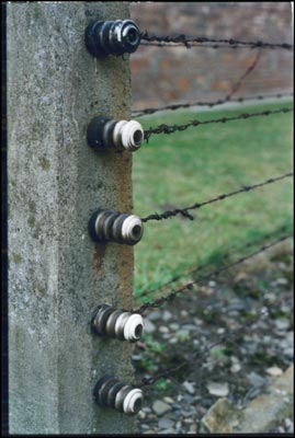 auschwitz- electric fence