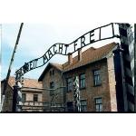 auschwitz