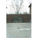 auschwitz- block 11 death wall