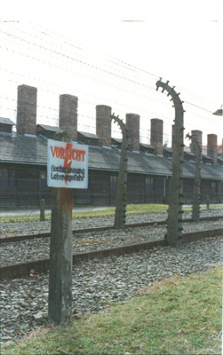 auschwitz