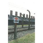auschwitz