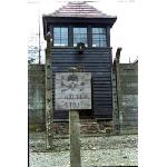 auschwitz