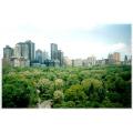 nyc-central park