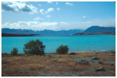 new zealand
