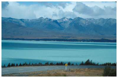 new zealand 