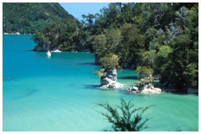 new zealand