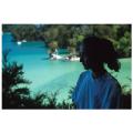 nz-abel tasmen park