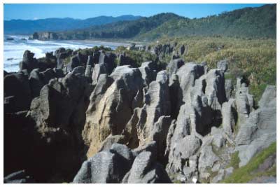 nz-pancake rocks