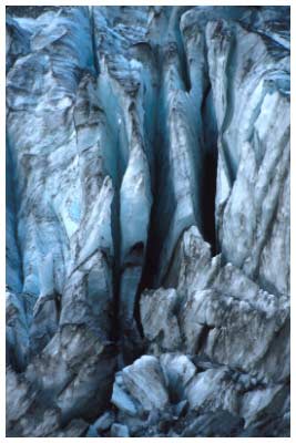 frantz joseph glacier
