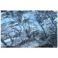 n.z-frantz joseph glacier