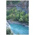 new zealand-bungee