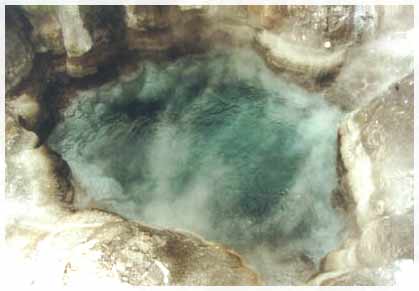 nz-rotorua