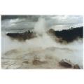 nz-rotorua