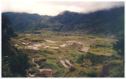 rice terraces 108.6K