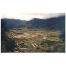 rice terraces 
