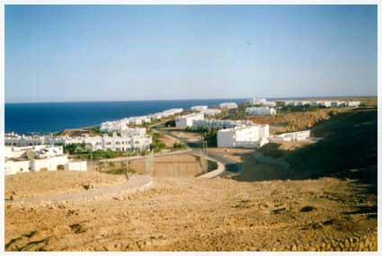 sinai